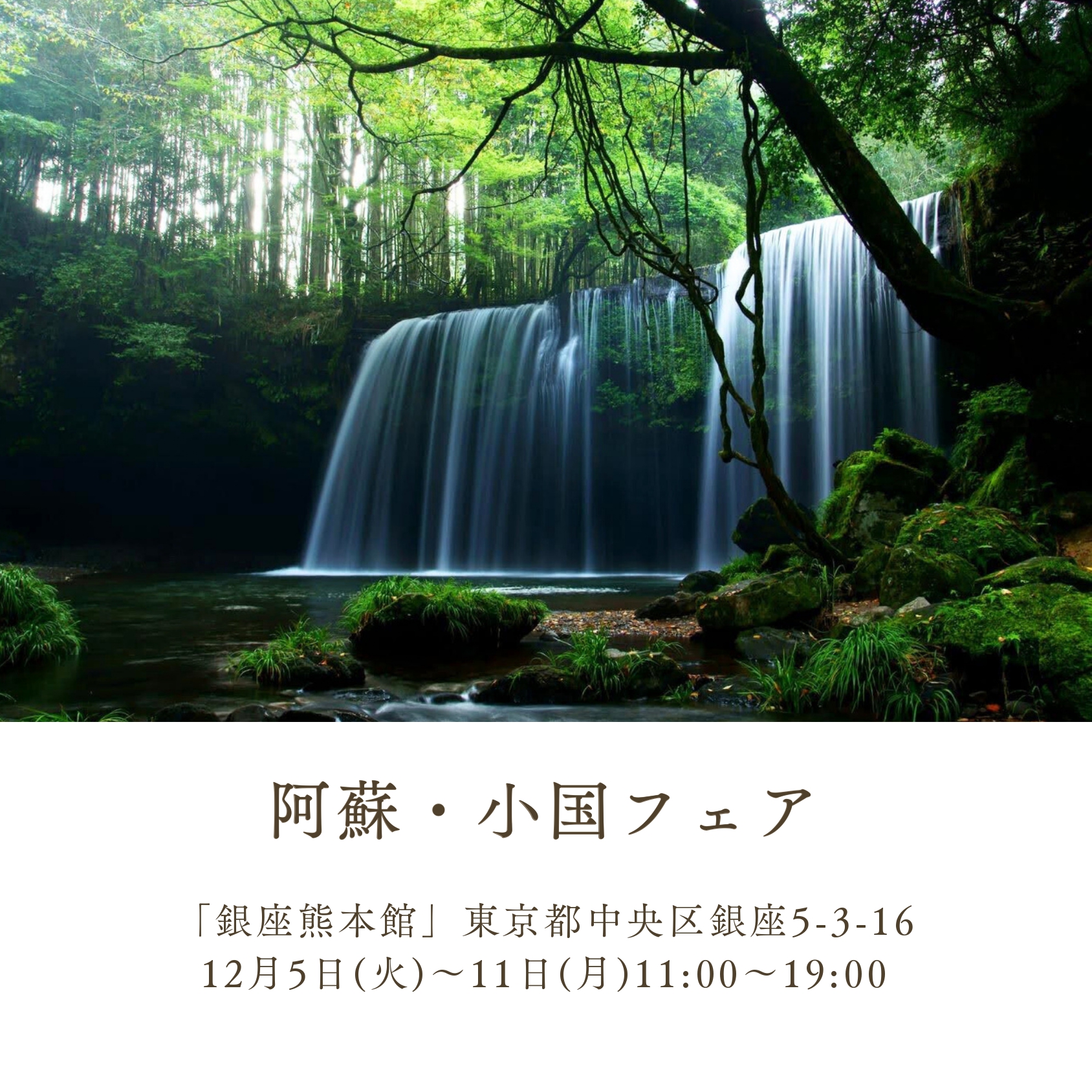 キーヴィジュアル1