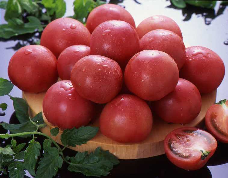 トマト画像